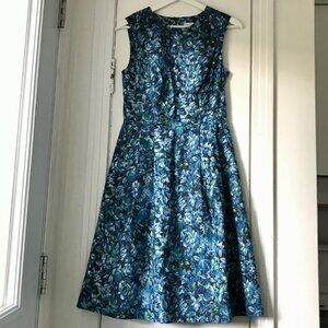 Birds of North America Peafowl Dress Night Rain size 6